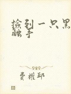 捡到一只黑心小触手