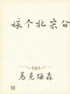 嫁个北宋公务员