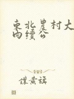 东北农村大炕乱肉续公封面