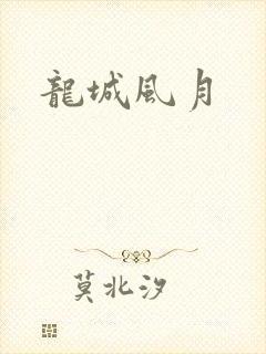 龙城风月封面