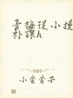 青梅从小摸到大补课h