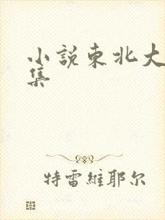 小说东北大炕全集