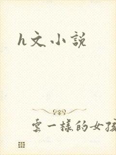 h文小说封面
