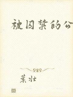 被囚禁的公主封面