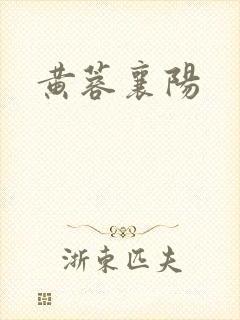 黄蓉襄阳