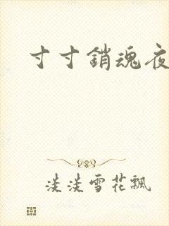寸寸销魂夜春光