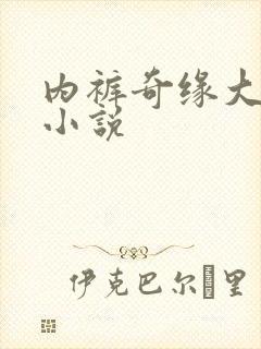 内裤奇缘大团结小说