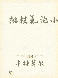 桃枝气泡小说封面