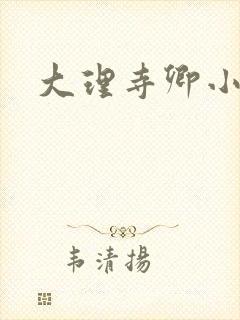 大理寺卿小说封面