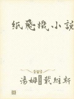 纸飞机小说