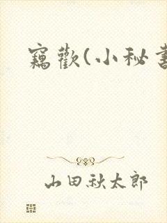 窃欢(小秘书)