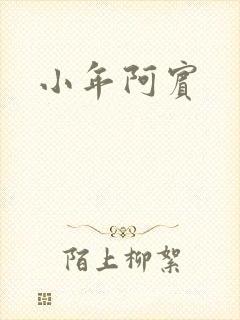 小年阿宾封面