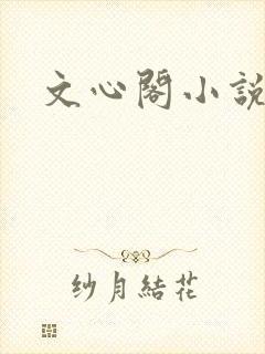 文心阁小说