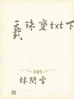 天珠变txt下载封面