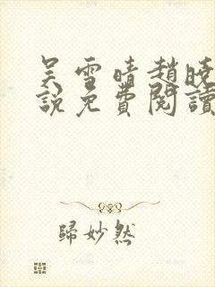 吴雪晴赵晓东小说免费阅读封面