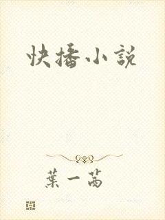 快播小说