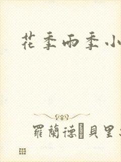 花季雨季小说封面