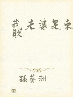 我老婆是东方不败