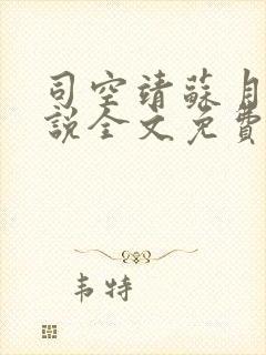 司空靖苏月汐小说全文免费阅读封面