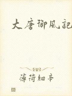 大唐御风记