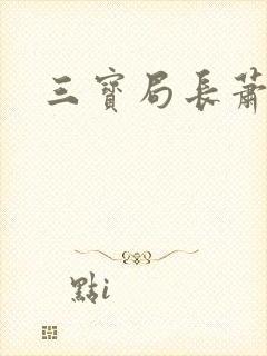 三宝局长萧燕封面