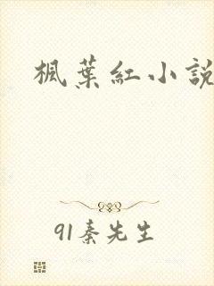 枫叶红小说