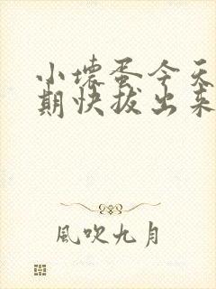 小坏蛋今天危险期快拔出来