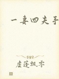 一妻四夫手记
