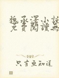 魏承泽小说全文免费阅读无弹窗笔趣