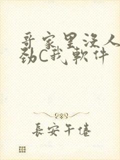 哥家里没人使点劲C我软件