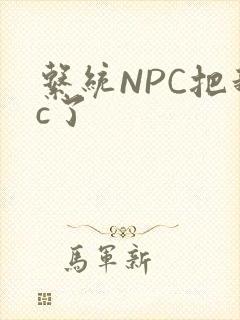 系统NPC把我c了