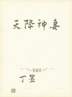 天降神妻封面