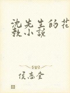 沈先生的花式调教小说封面
