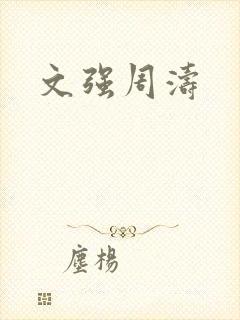 文强周涛