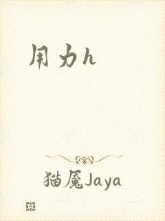 用力h封面