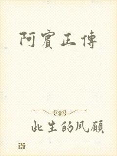 阿宾正传