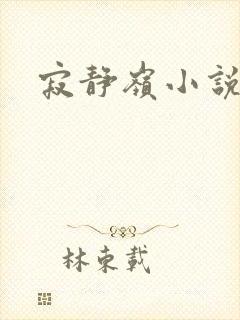 寂静岭小说封面