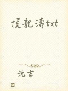 侯龙涛txt封面