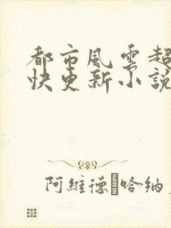 都市风云超前超快更新小说