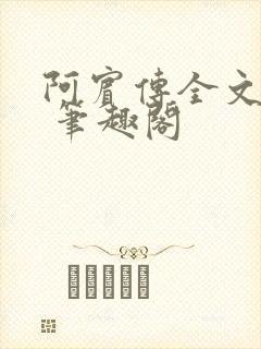 阿宾传全文阅读 笔趣阁