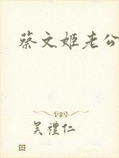 蔡文姬老公
