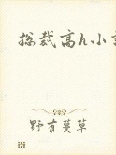 总裁高h小说封面