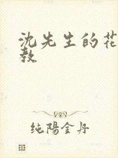 沈先生的花式管教