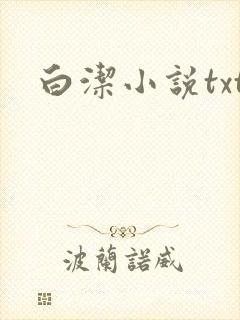 白洁小说txt
