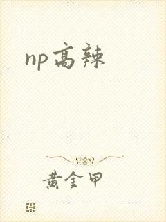 np高辣