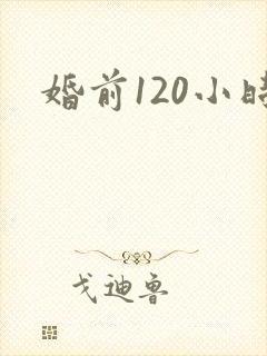 婚前120小时封面