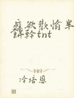 瘾欲欢愉半块小饼干tnt