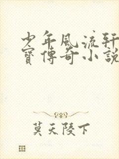 少年风流轩辕大宝传奇小说