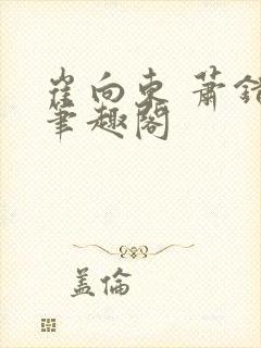 崔向东 萧错 笔趣阁