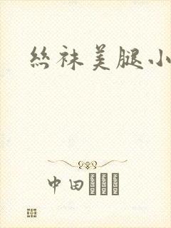 丝袜美腿小说